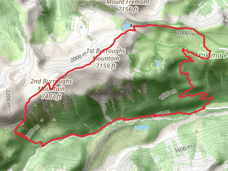 Burroughs Mountain Loop and Glacier Basin Trail