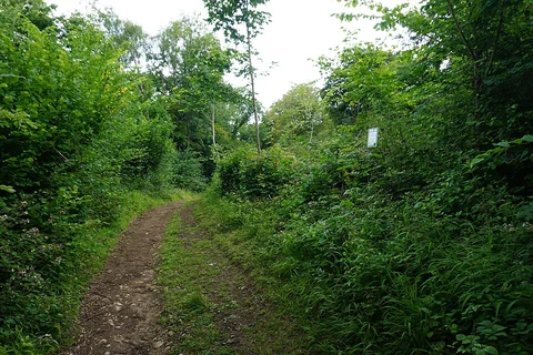 An image depicting the trail Coopers Hill Local Nature Reserve Loop and its surrounding area.