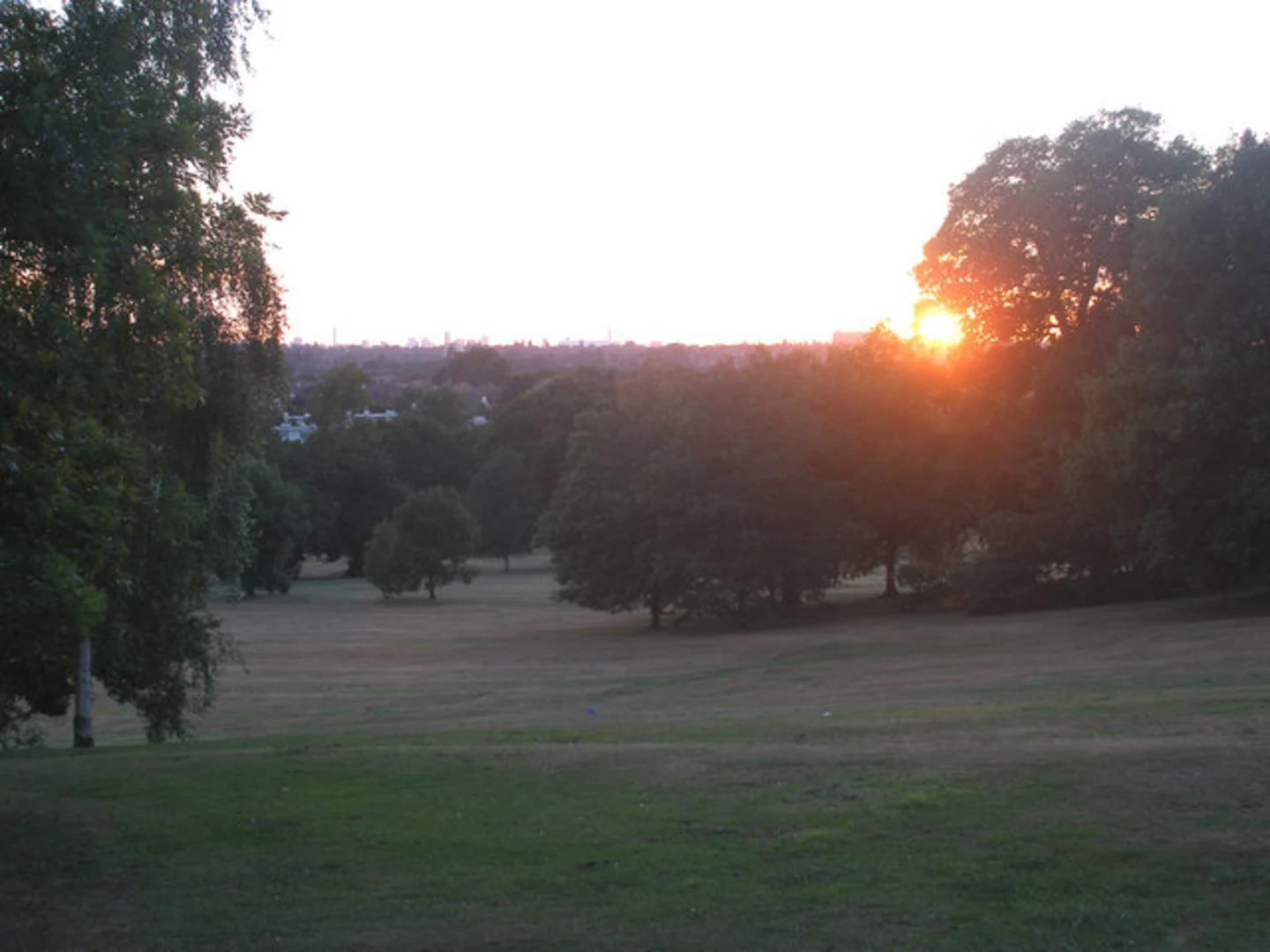 An image depicting the trail Elmdon Park Loop and its surrounding area.