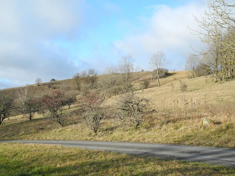 Hauensteiner and Burghalder Weg