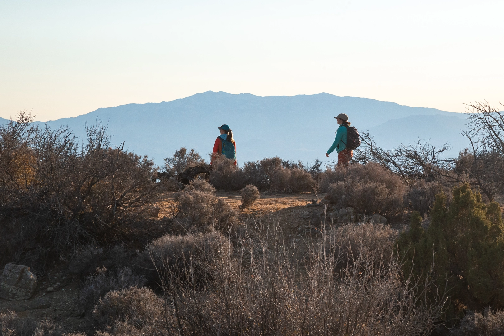 An image depicting the trail Covington Crest Trail and its surrounding area.