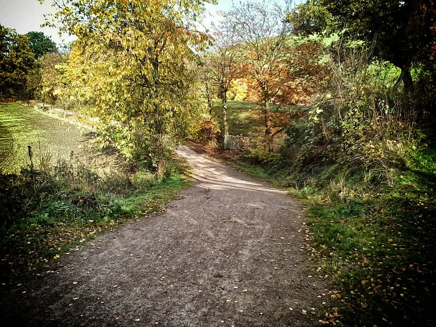 An image depicting the trail Taubenteich via Resser Grenzweg and its surrounding area.