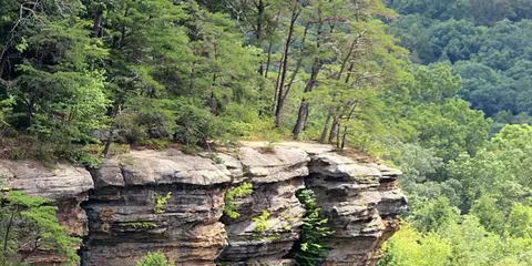 An image depicting the trail Wildcat Hollow Trail and its surrounding area.
