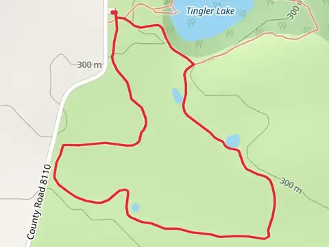 Tingler Lake Overlook Loop