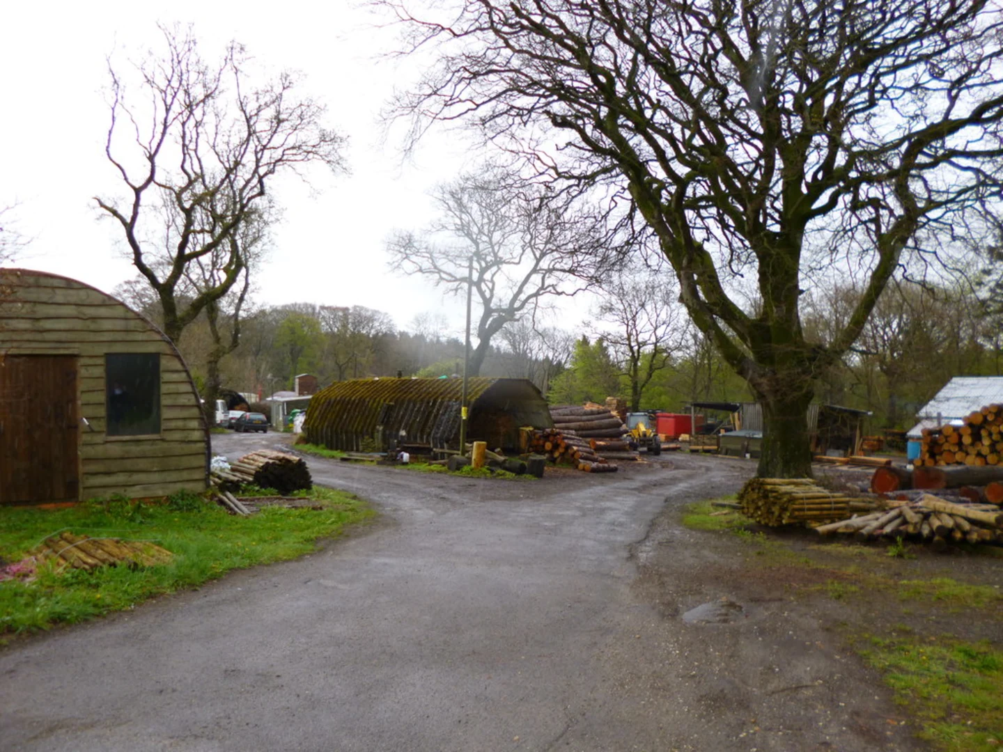 An image depicting the trail Milton Abbas Northern Loop via Ochill Wood and its surrounding area.