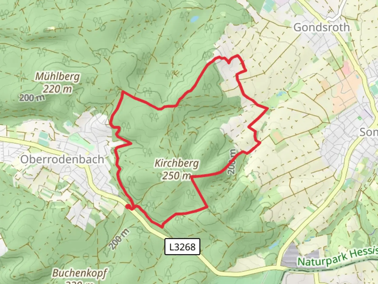 An image depicting the trail Rodenbach and Edelweissweg Loop and its surrounding area.