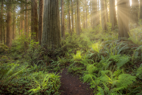 An image depicting the trail Childs Hills Road Trail and its surrounding area.