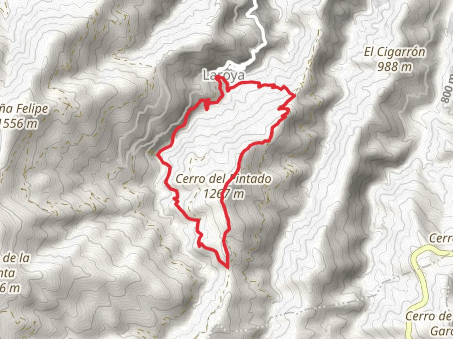 An image depicting the trail The Mills of Laroya PR A 366 and its surrounding area.