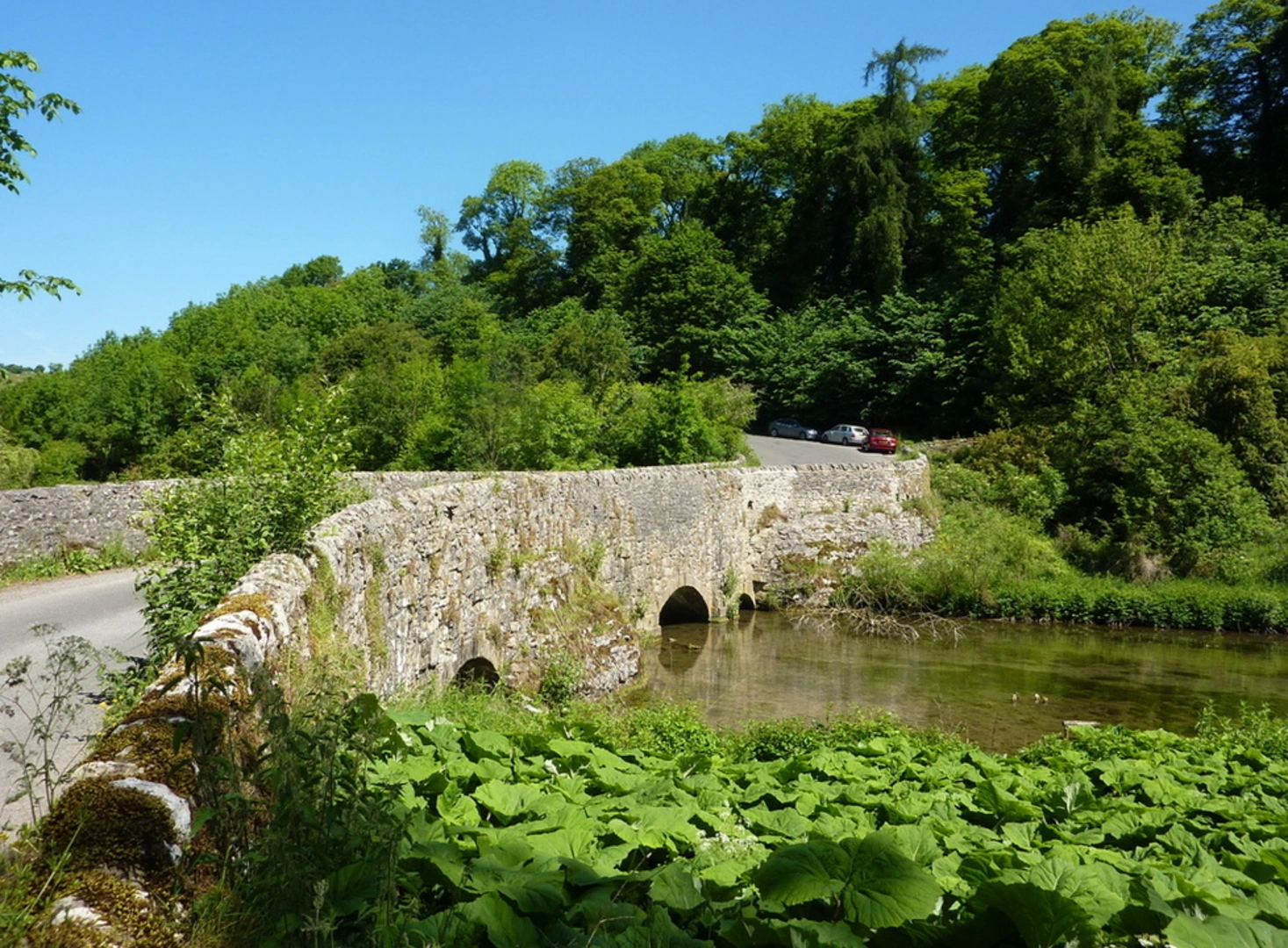 An image depicting the trail River Lathkill Walk from Conksbury Bridge and its surrounding area.