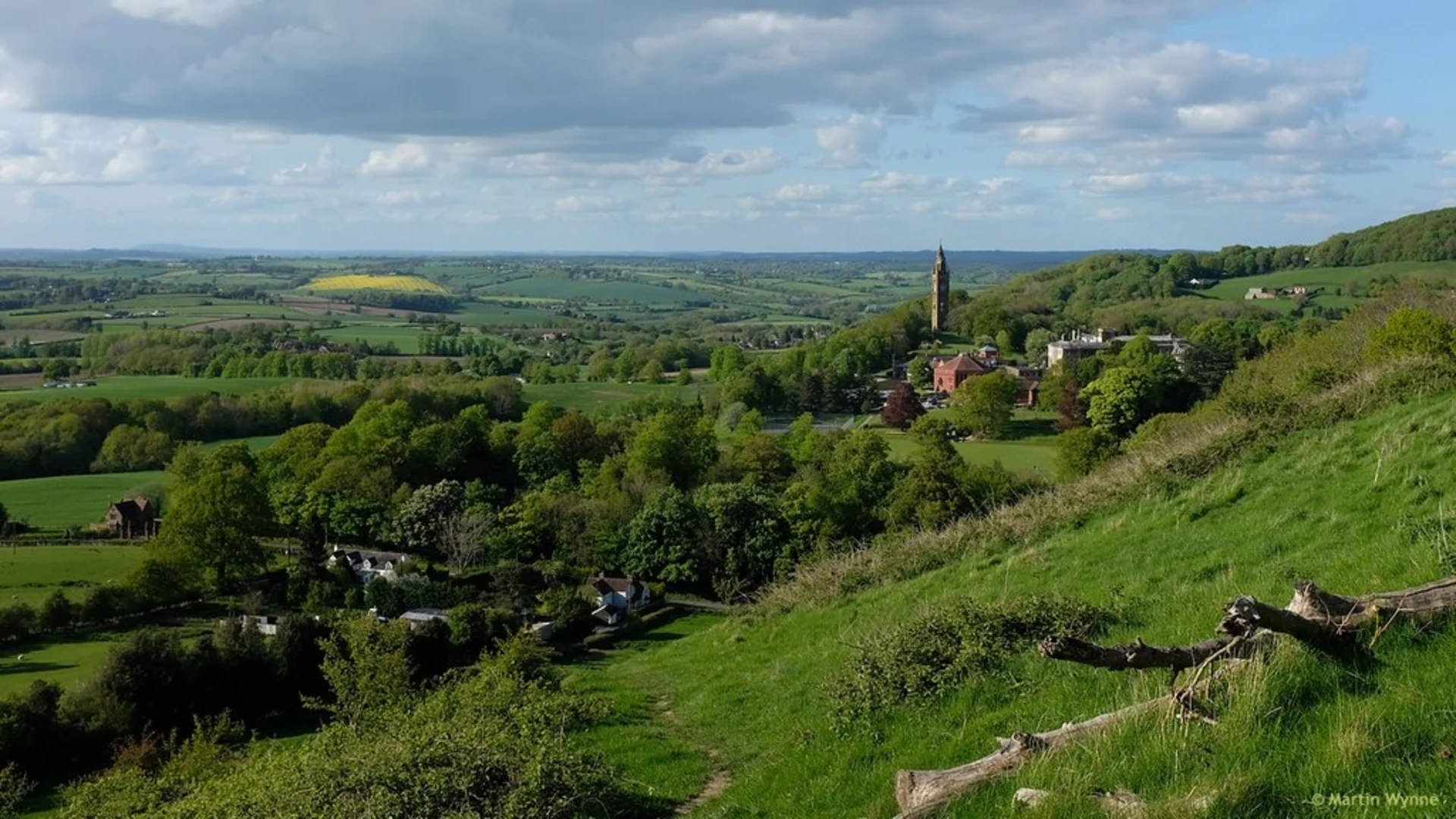 An image depicting the trail Walsgrove Hill Loop and its surrounding area.