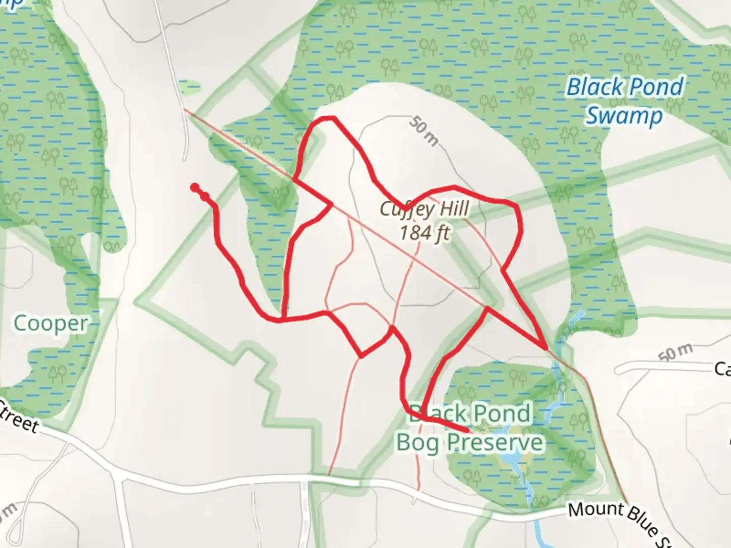 An image depicting the trail Cuffey Hill Loop Trail and its surrounding area.