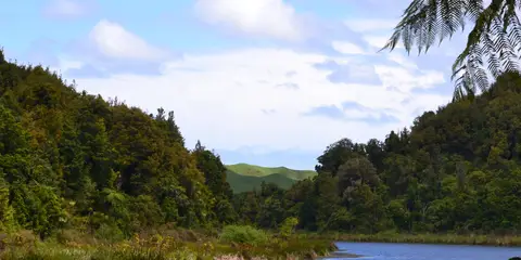 An image depicting the trail Barrett Lagoon Loop Track and its surrounding area.