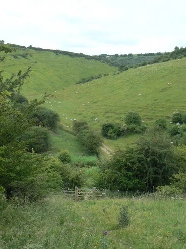 Pocklington and Millington Loop