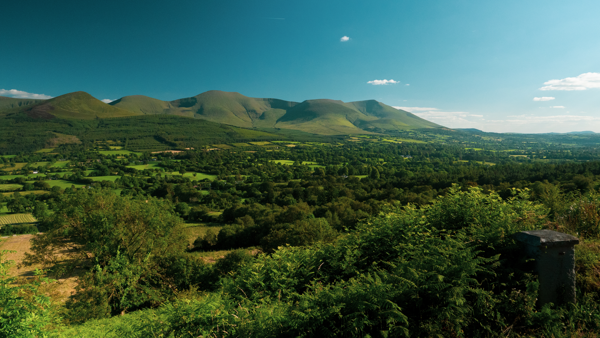 An image depicting the trail Glen of Aherlow - Millennium Stone Loop and its surrounding area.
