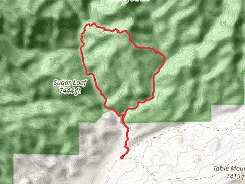Trail Gulch, Powerline Trail and Creek Loop Trail