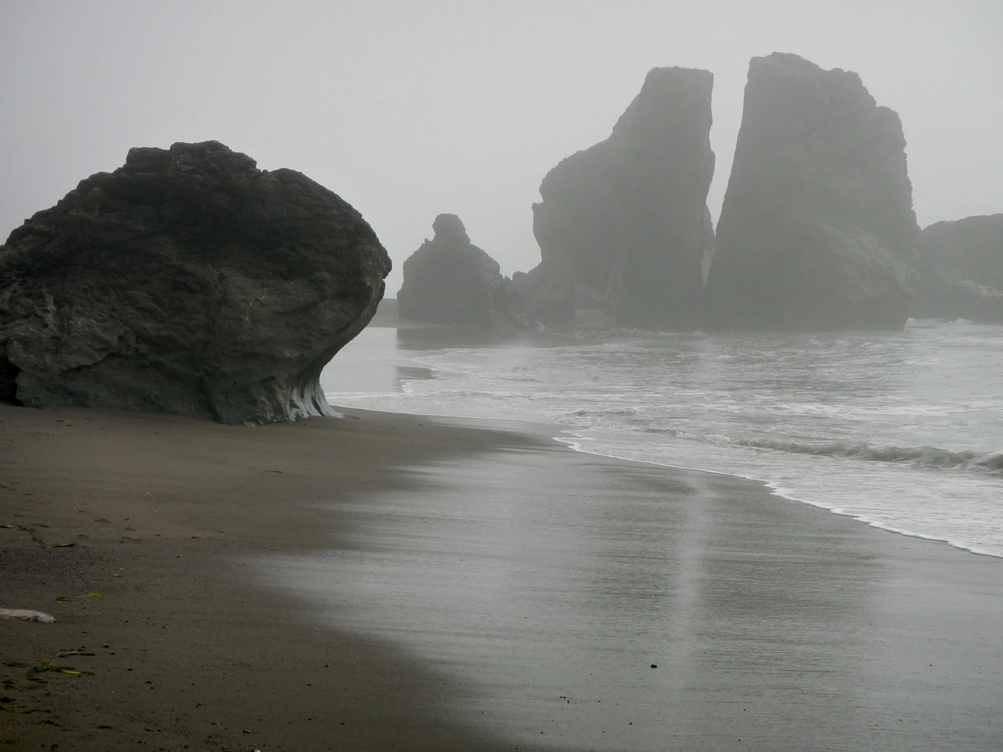 An image depicting the trail Goat Rock Road TRail - West and its surrounding area.