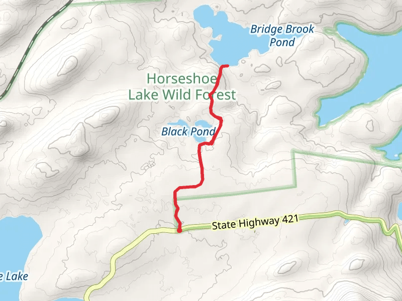 Bridge Brook Pond Out and Back