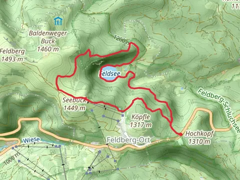 Feldsee Loop via E Maurwer Weg - Seesträßle