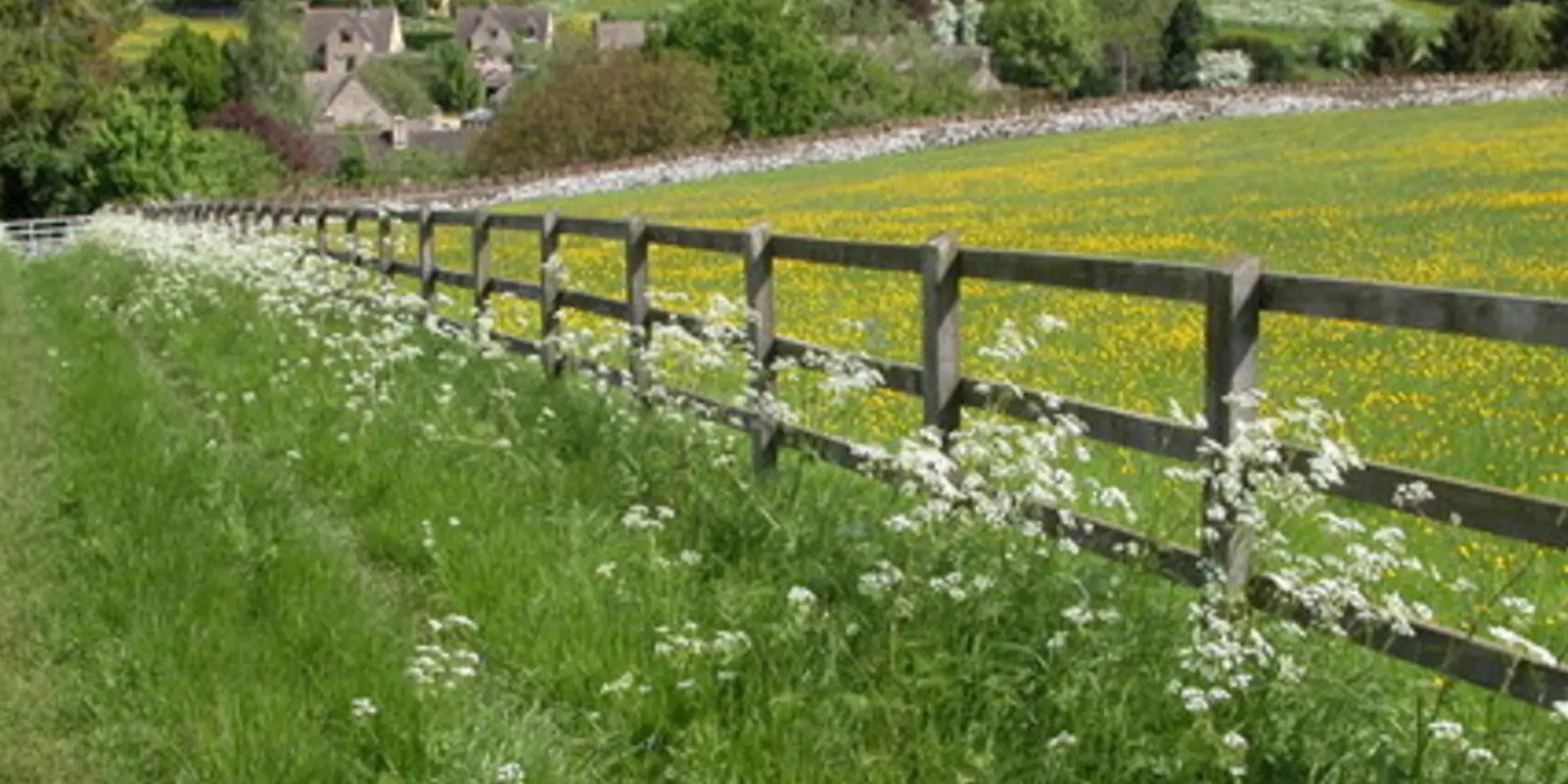 An image depicting the trail Donnington Way and its surrounding area.