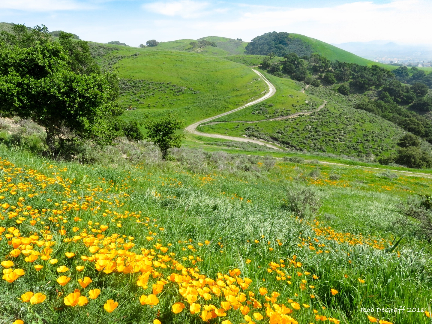 An image depicting the trail Juan Batista De Anza Trail and its surrounding area.