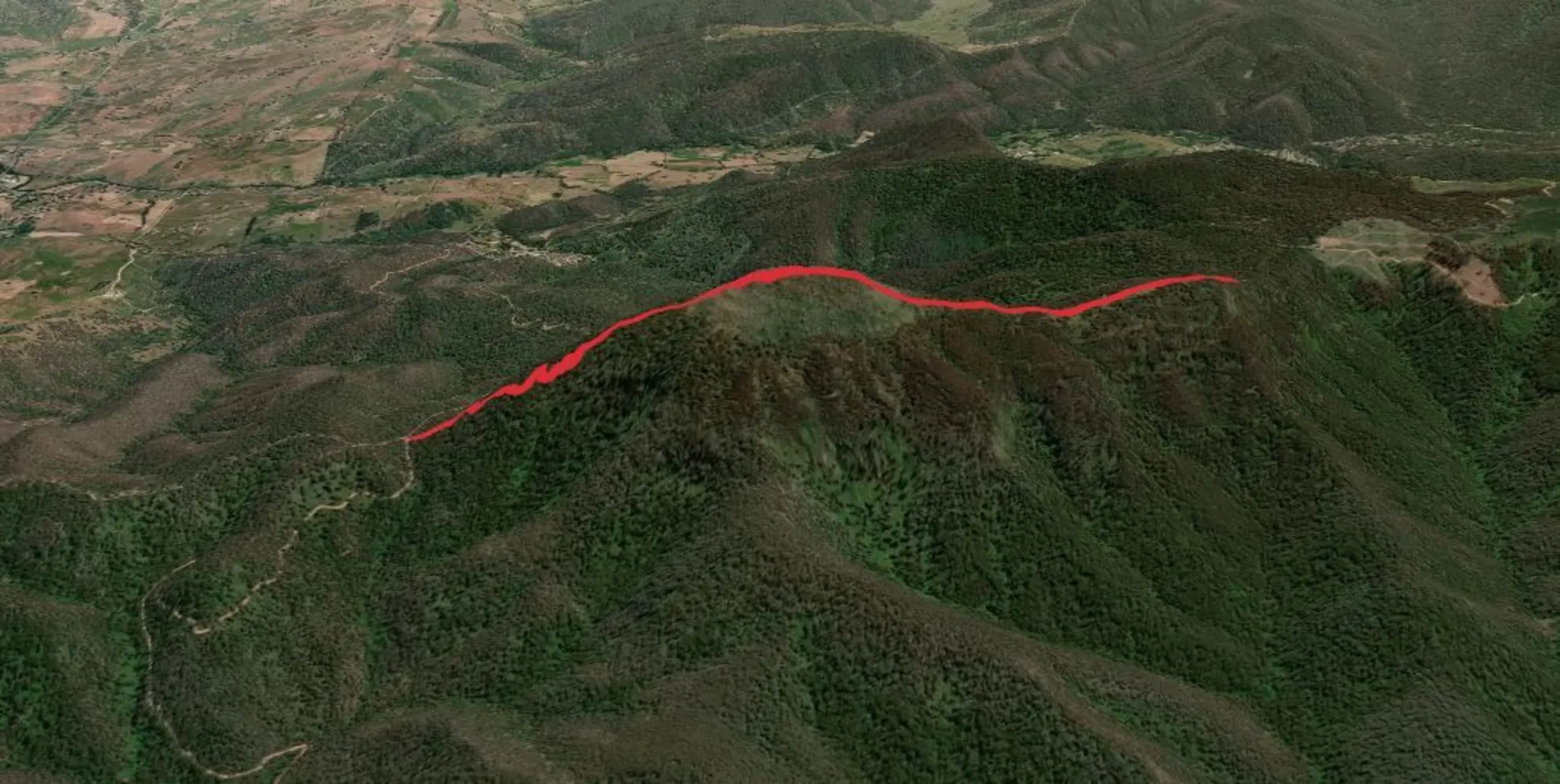 An image depicting the trail Timbertop Walking Track and its surrounding area.