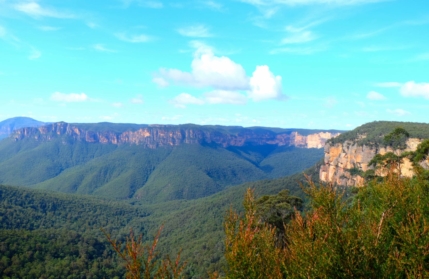 An image depicting the trail Fairfax Heritage Track and its surrounding area.