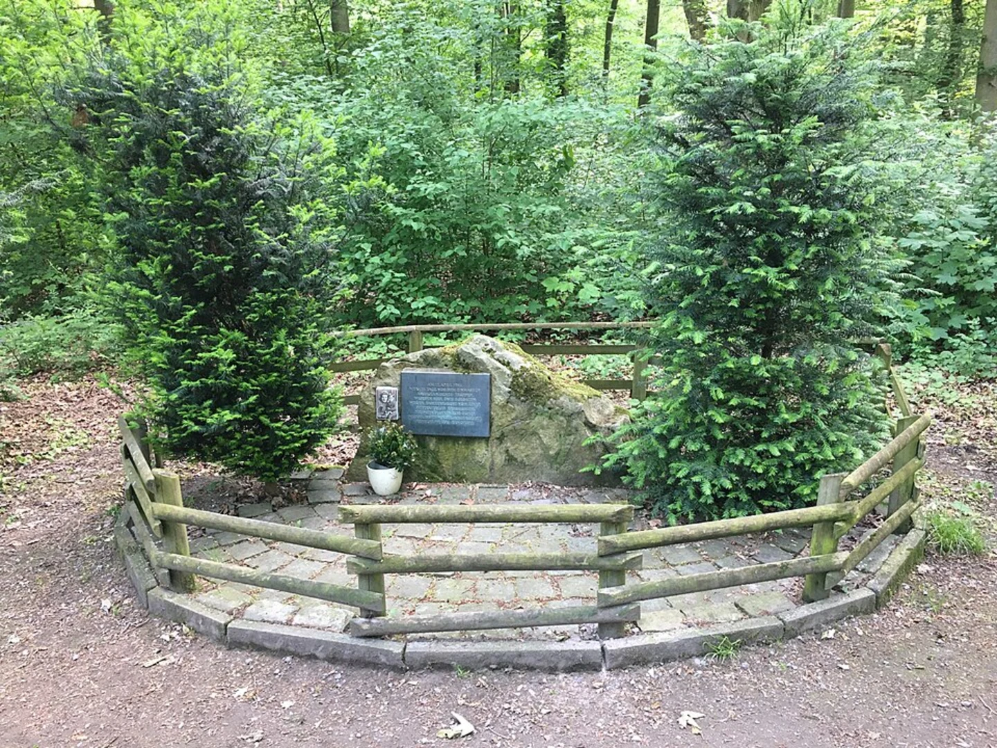 An image depicting the trail Unterbacher See and Eller Forest Loop via Neanderland Steig and its surrounding area.