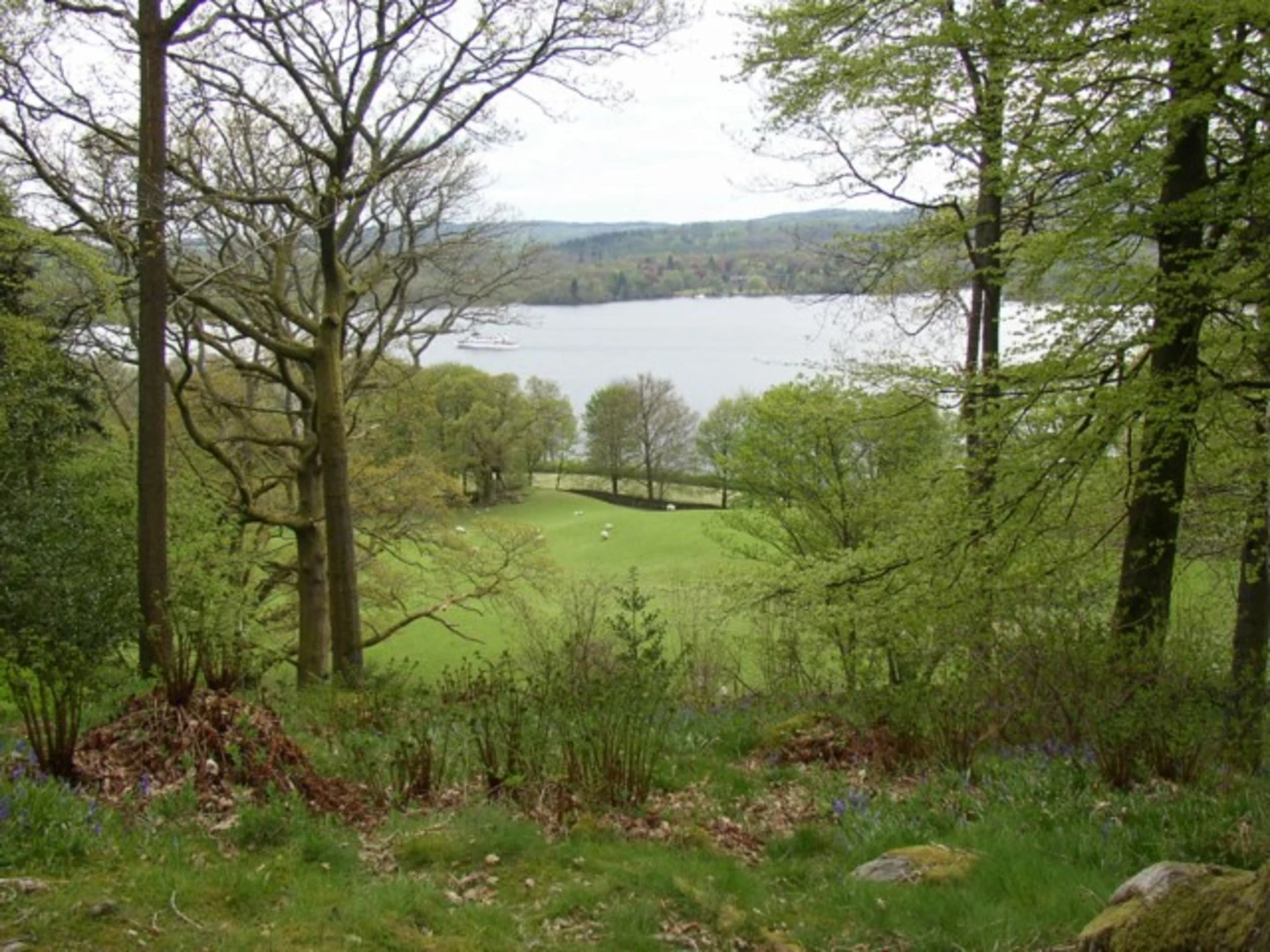 An image depicting the trail Stagshaw Gardens Loop and its surrounding area.