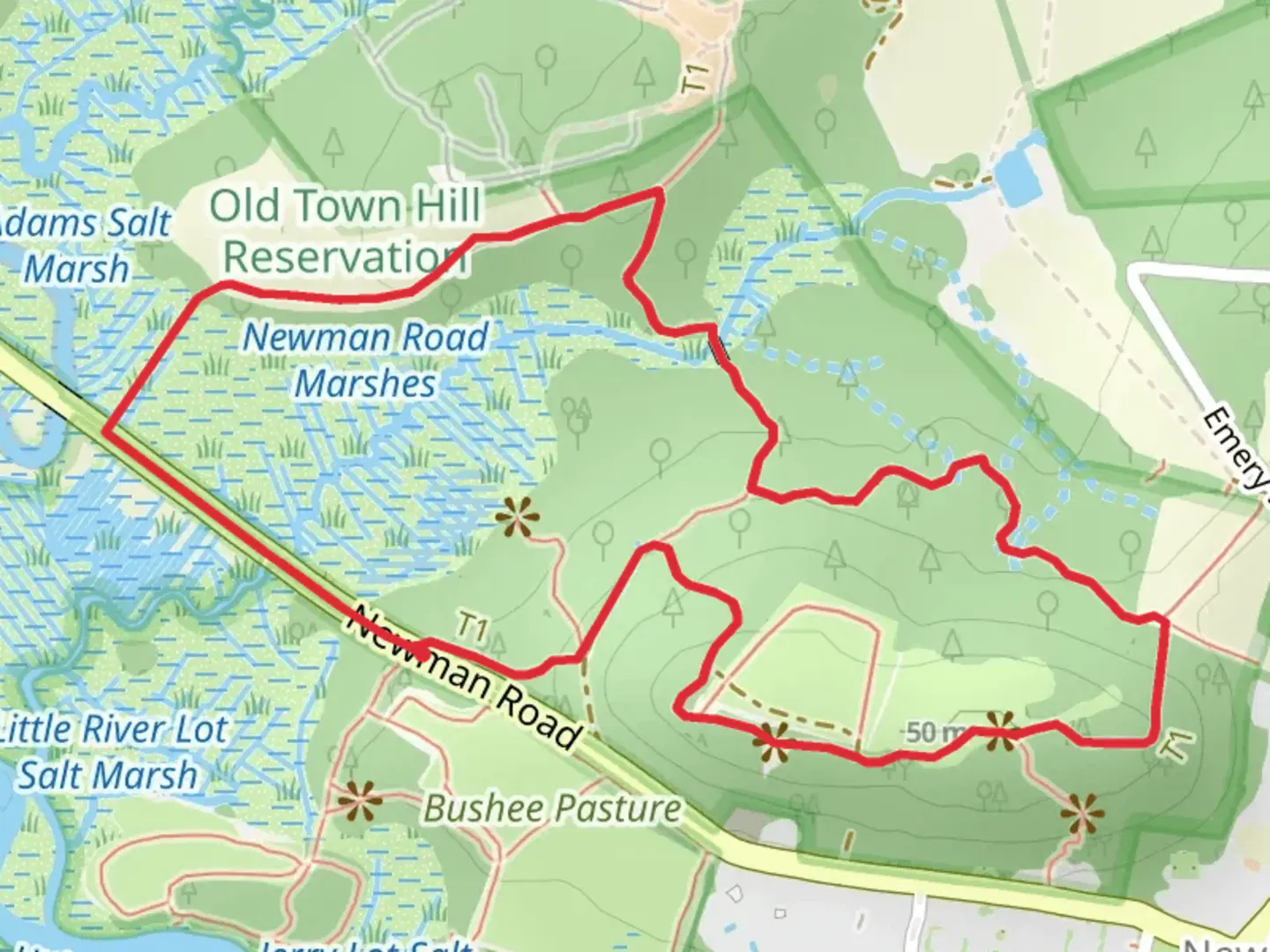 An image depicting the trail Adams Place Hill Loop and its surrounding area.