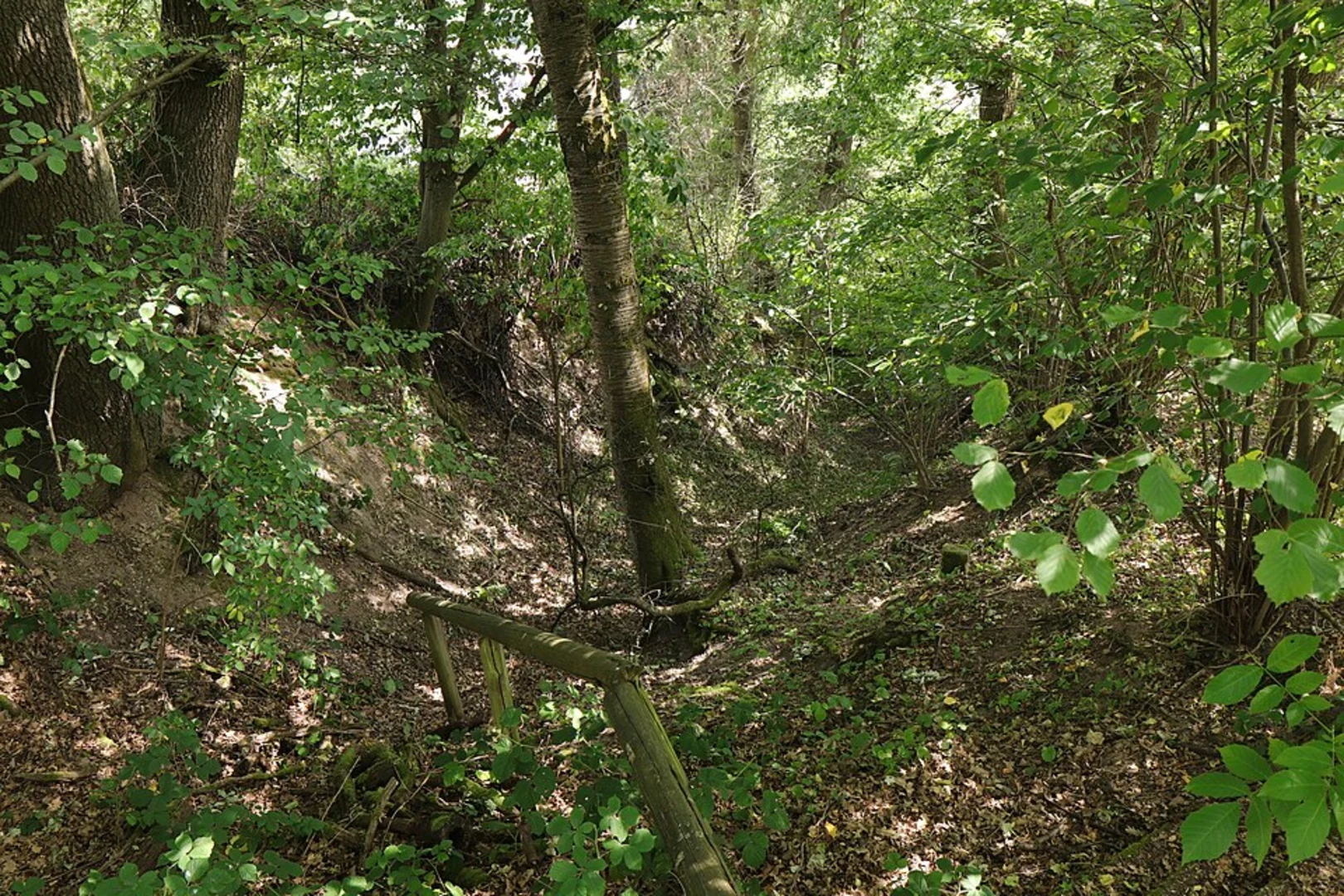 An image depicting the trail Kulturweg Sailauf Loop and its surrounding area.
