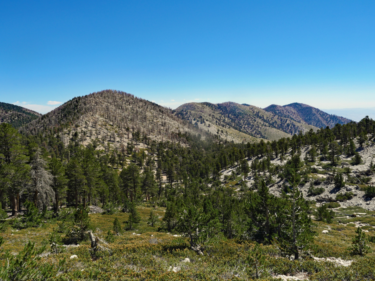 An image depicting the trail Grinnell Mountain via Fish Creek Trail and its surrounding area.