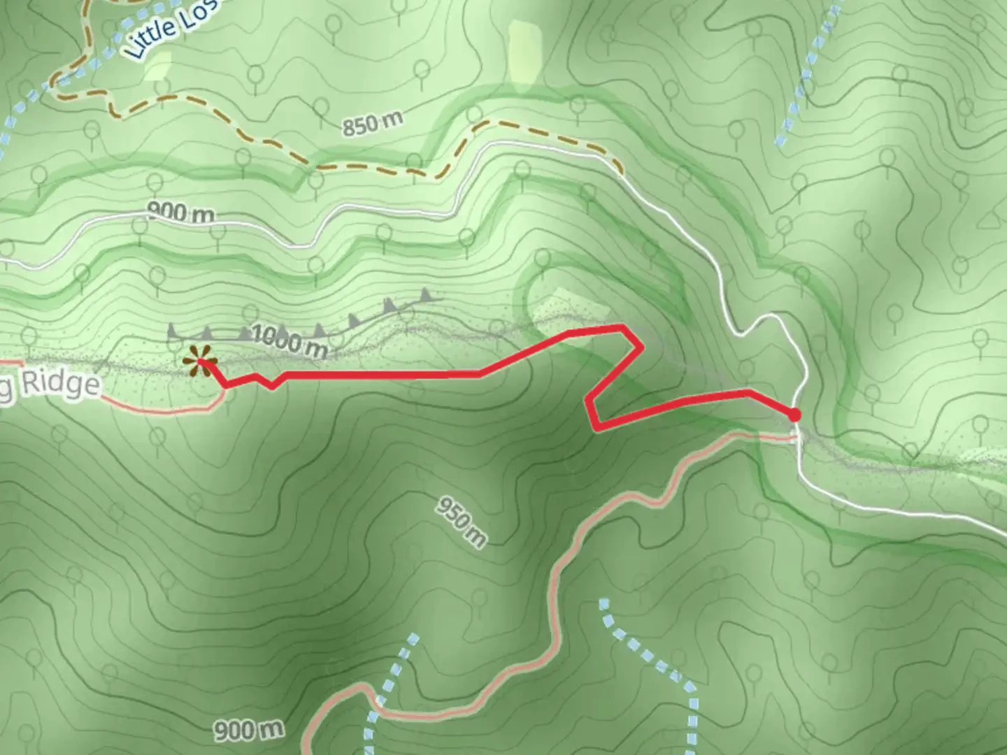An image depicting the trail Little Lost Cove Cliffs Trail and its surrounding area.