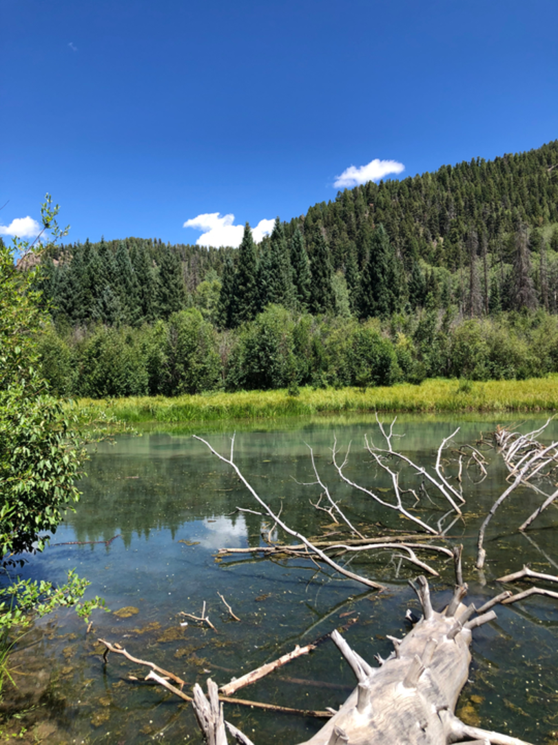 An image depicting the trail Opal Lake Trail and its surrounding area.