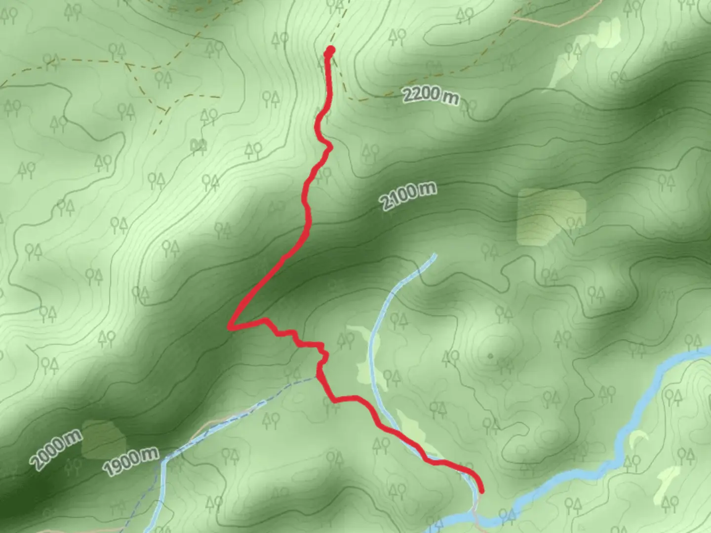 An image depicting the trail Government Meadow Trail via Caples Creek Trail and its surrounding area.