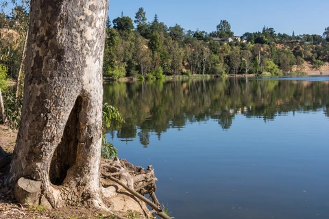 An image depicting the trail Vasona Reservoir via Los Gatos Creek Trail and its surrounding area.
