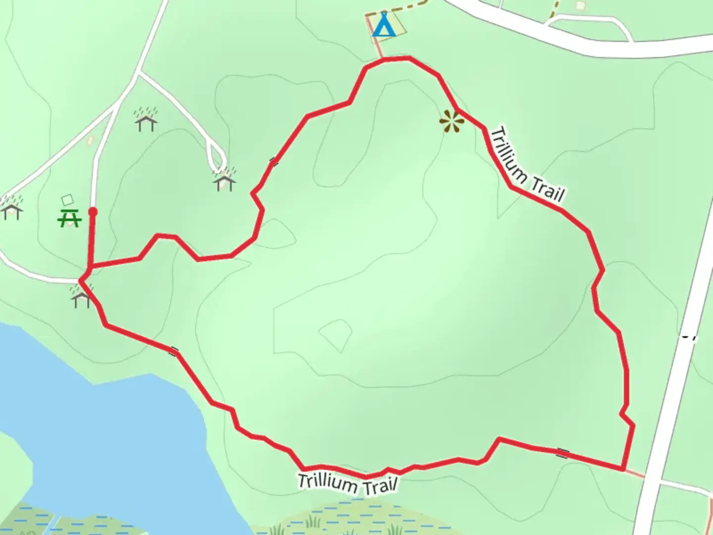 An image depicting the trail Trillium Loop Trail and its surrounding area.