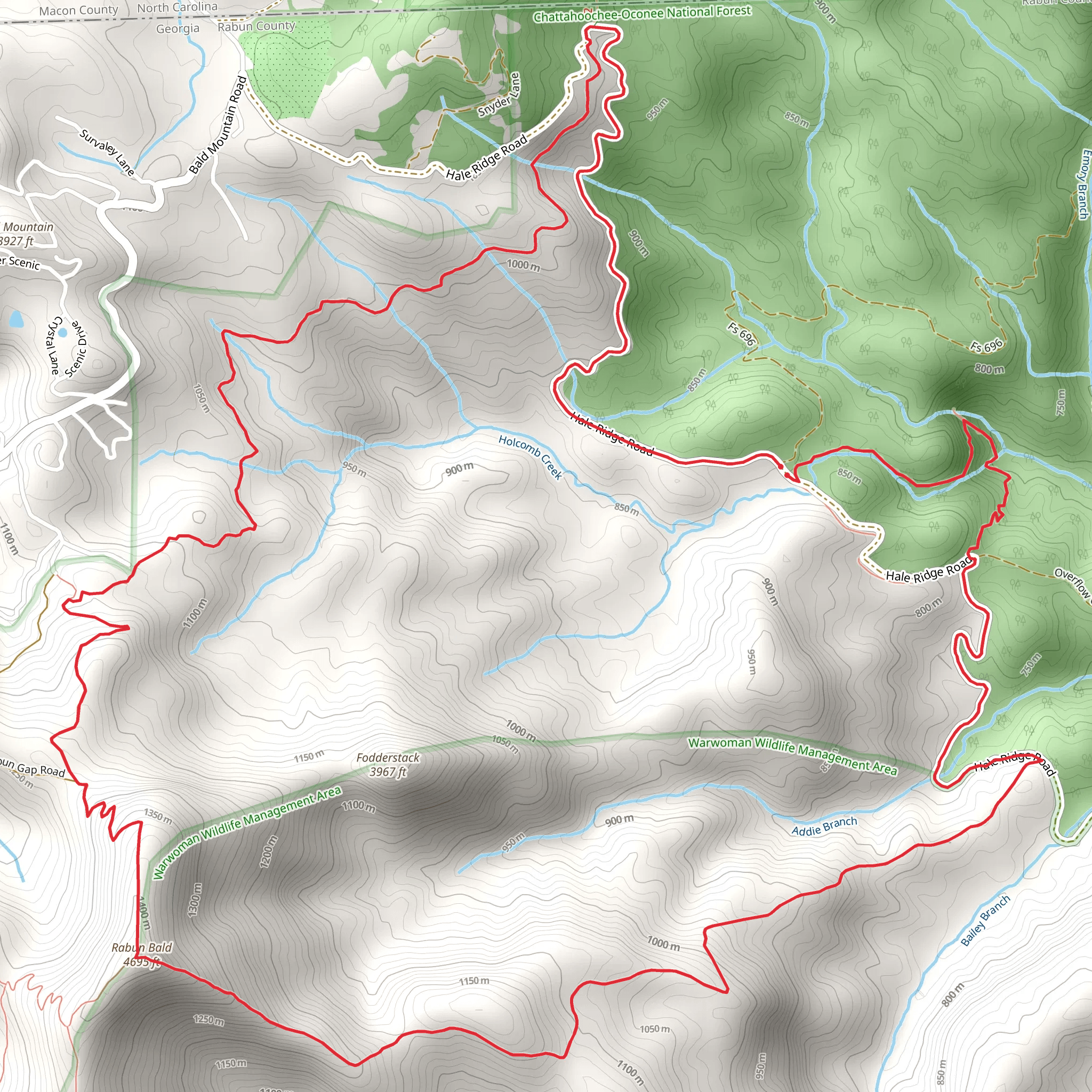 Rabun Bald, Bartram Trail and Holcomb Creek Trail Loop mobile static map