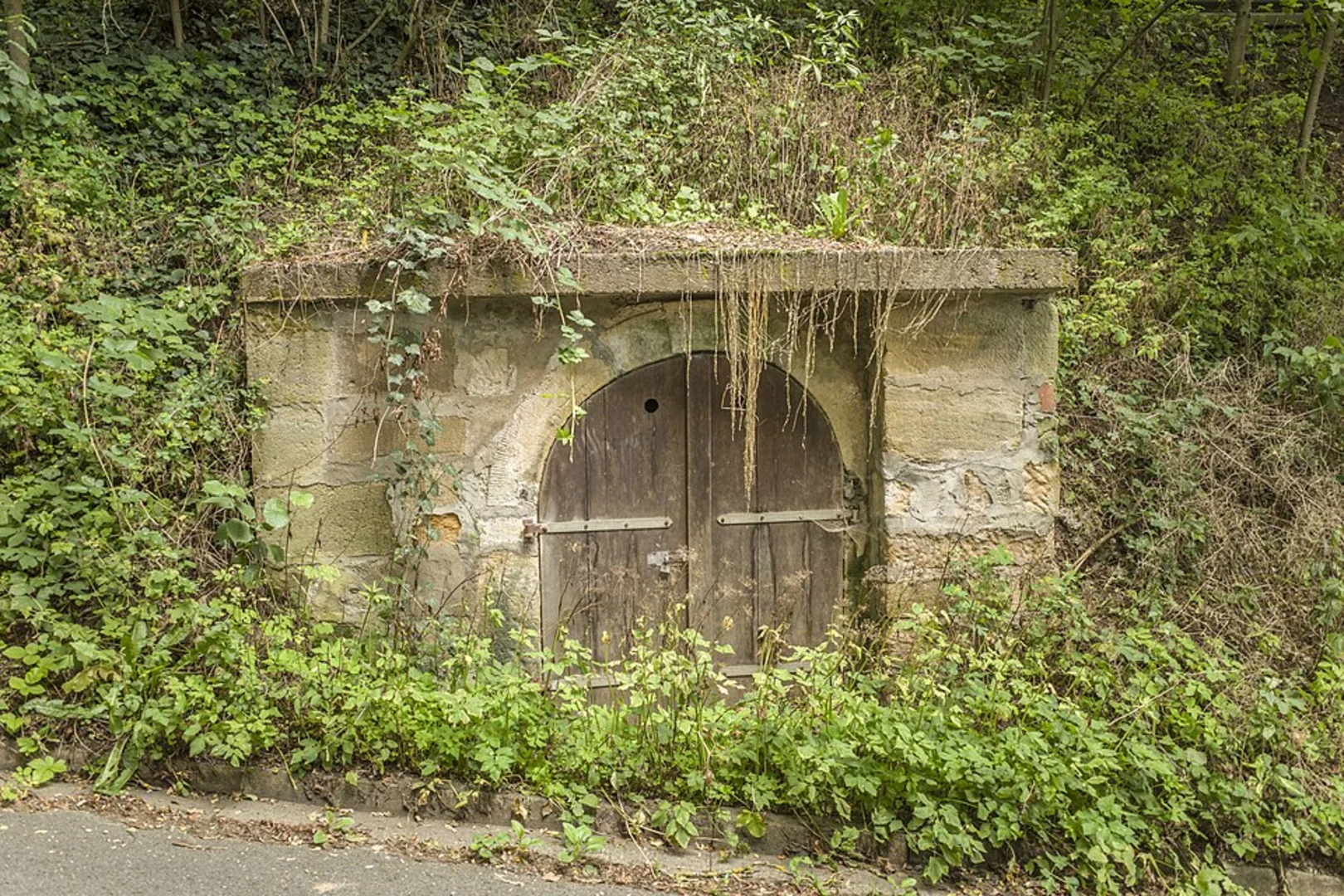 An image depicting the trail Selb Loop and its surrounding area.