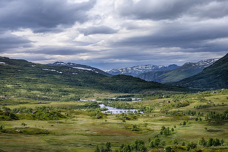 An image depicting the trail Hardangervidda National Park and its surrounding area.