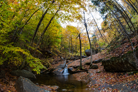 An image depicting the trail Mount Chocorua via Champney Falls Trail and its surrounding area.