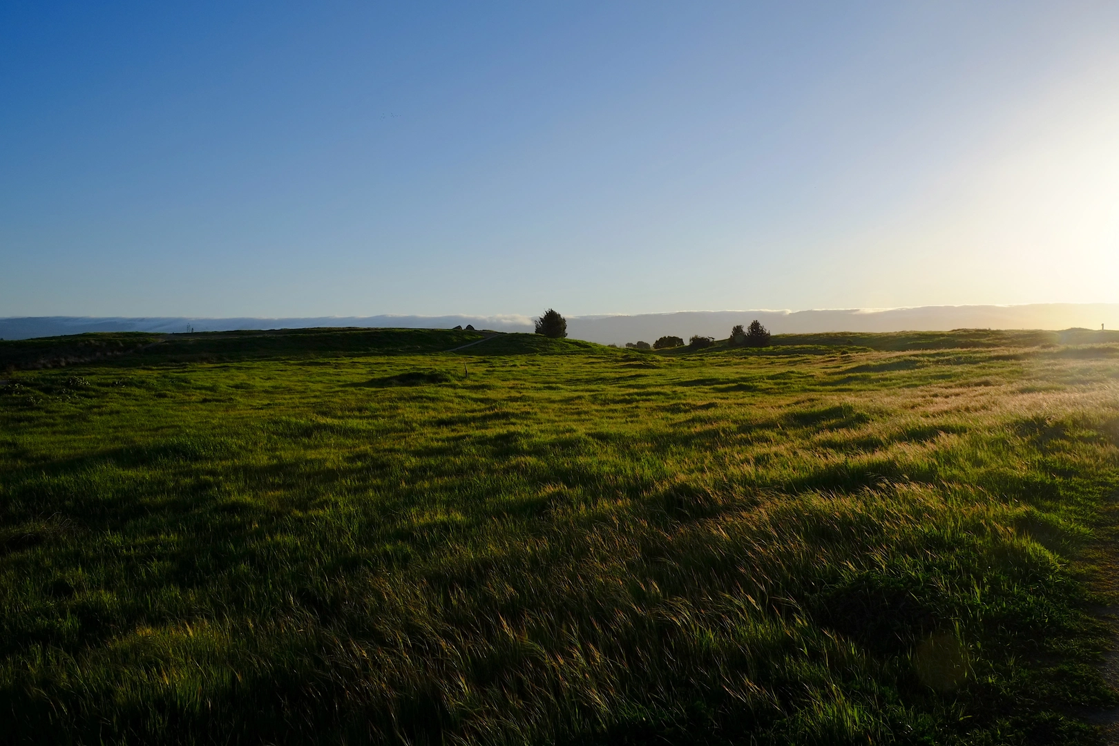 An image depicting the trail Adobe Creek Loop Trail and its surrounding area.