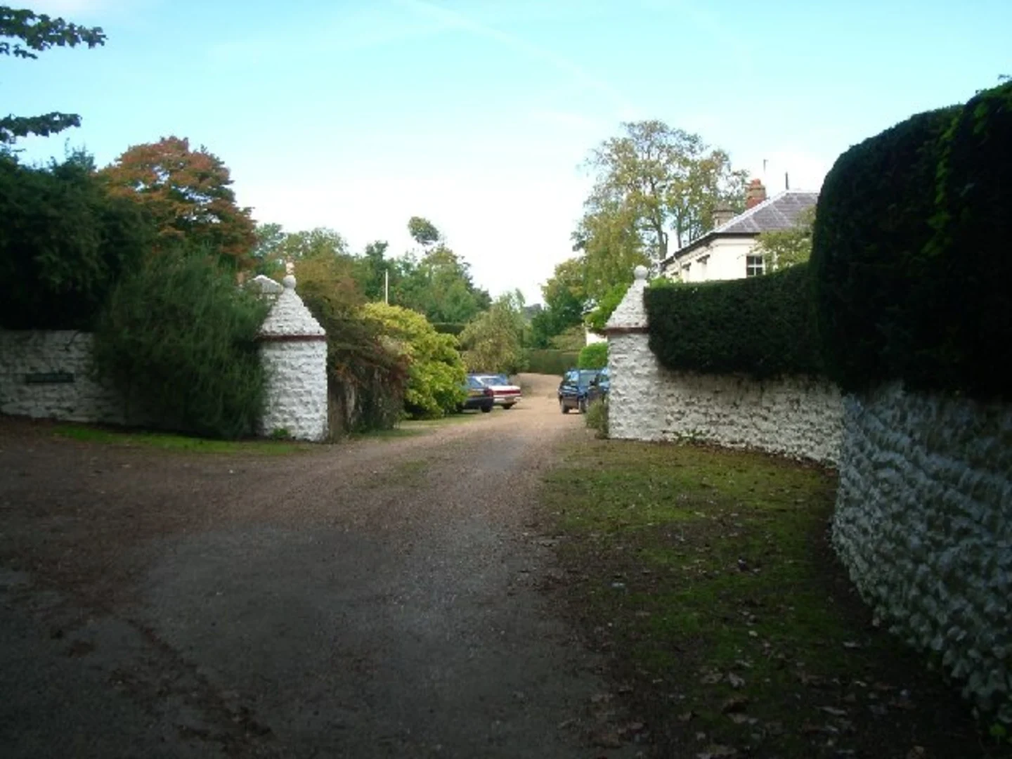 An image depicting the trail Ashcombe Wood and Dorking Wood and its surrounding area.