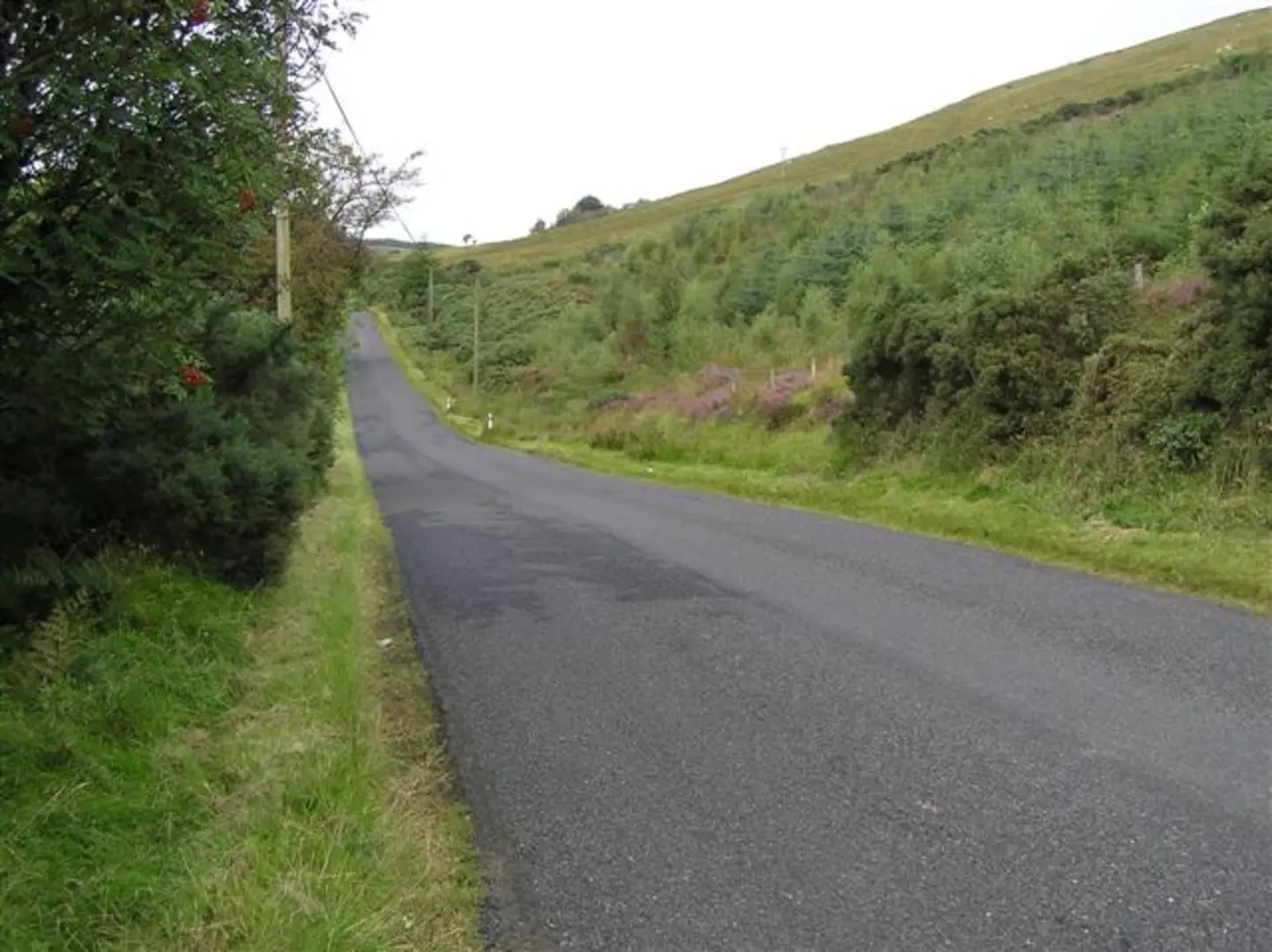 An image depicting the trail Moydamlaght Forest - Eagles Rock Trail and its surrounding area.
