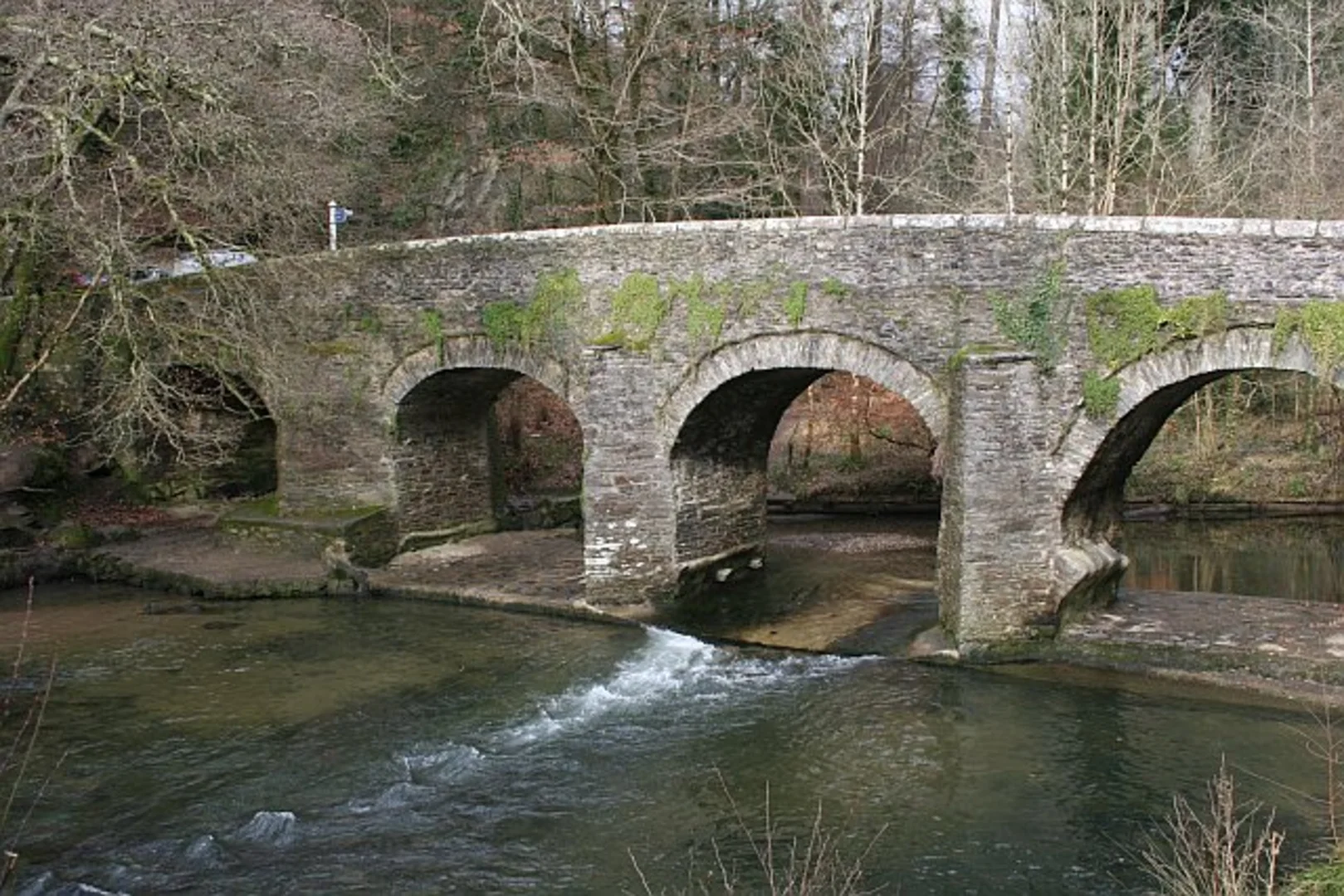An image depicting the trail Carr Woods Loop via Plym Bridge and its surrounding area.