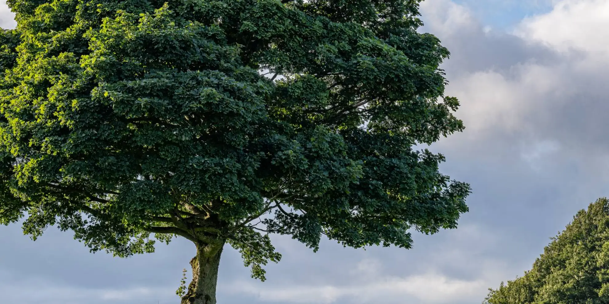 An image depicting the trail White Lodge Car Park on A6 via Sheldon and its surrounding area.