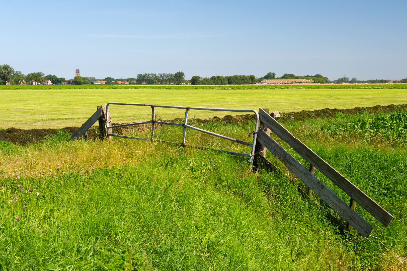An image depicting the trail Stedumermaar and Westerwijtwerdermaar via Peertilpad and its surrounding area.
