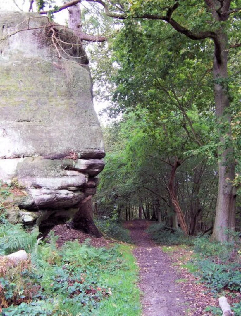 An image depicting the trail Eridge to Tunbridge Wells Walk and its surrounding area.