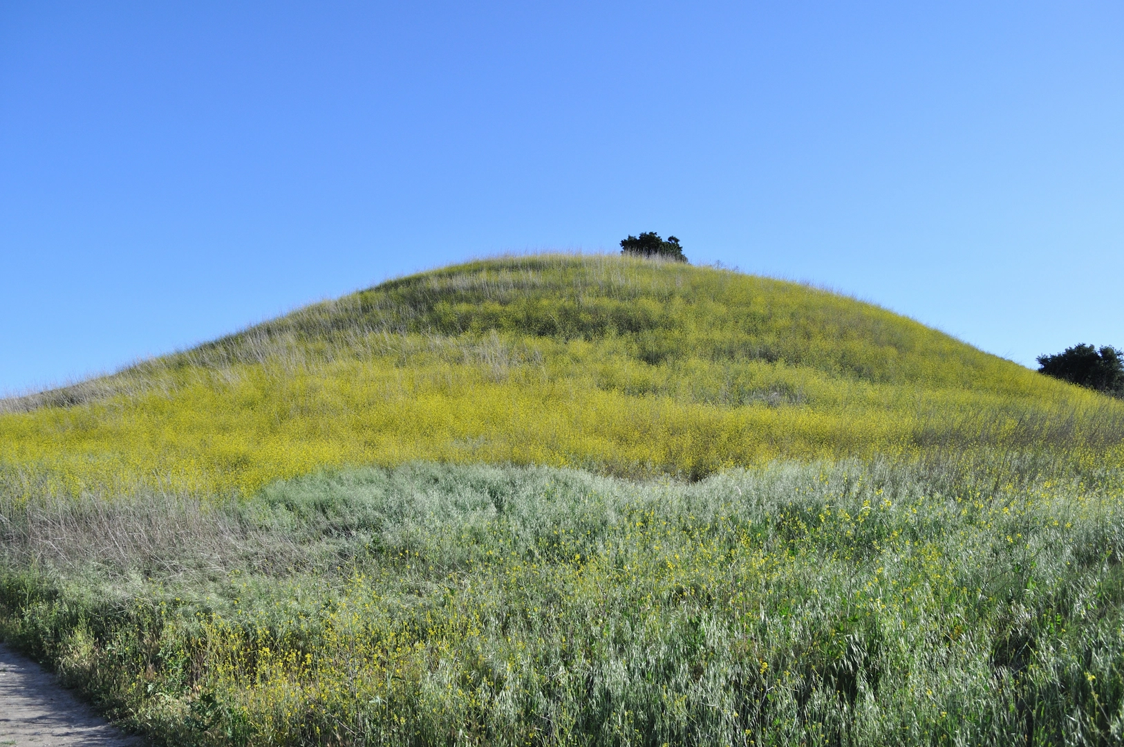 An image depicting the trail Upper Las Virgenes Canyon and Mary Wiesbrock Loop Trail and its surrounding area.