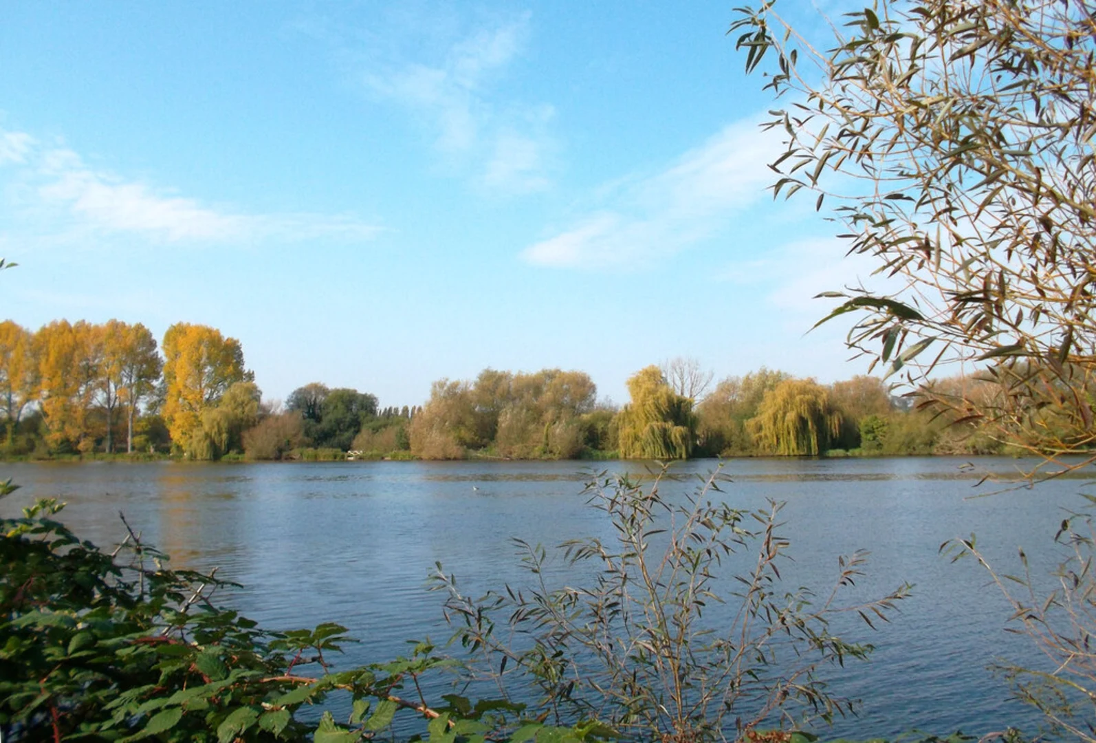 An image depicting the trail Bury Lake Circular Walk and Stocker's Lake Local Nature Reserve Loop and its surrounding area.