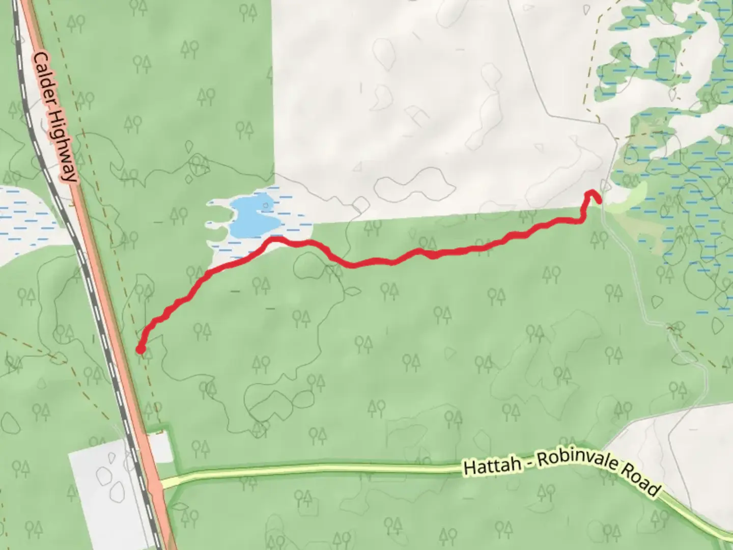 An image depicting the trail Camel Pad Track and its surrounding area.